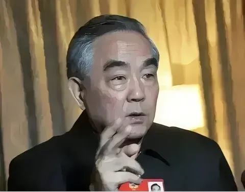 春节禁放烟花：杨凯生的"英明"决策？

在春节的热闹氛围中，我们不禁想起那位让鞭