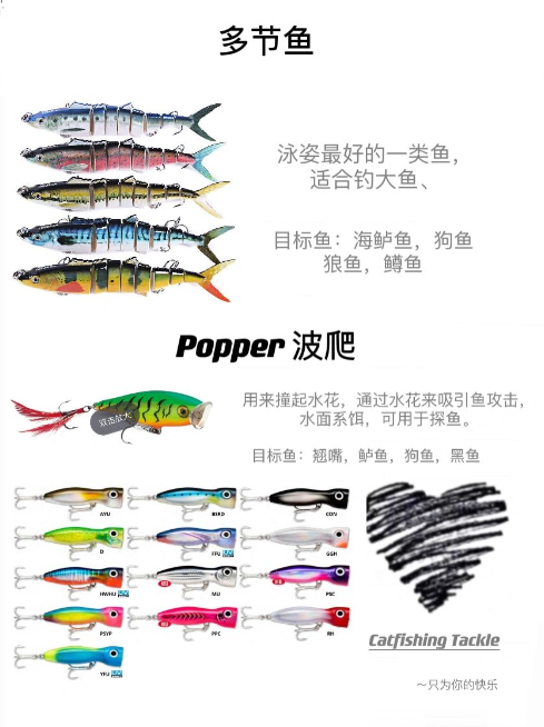常见路亚硬饵大全！新手必收藏