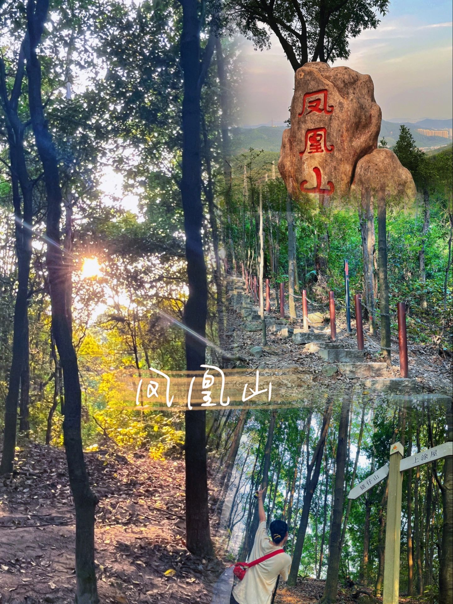 广州凤凰山森林公园