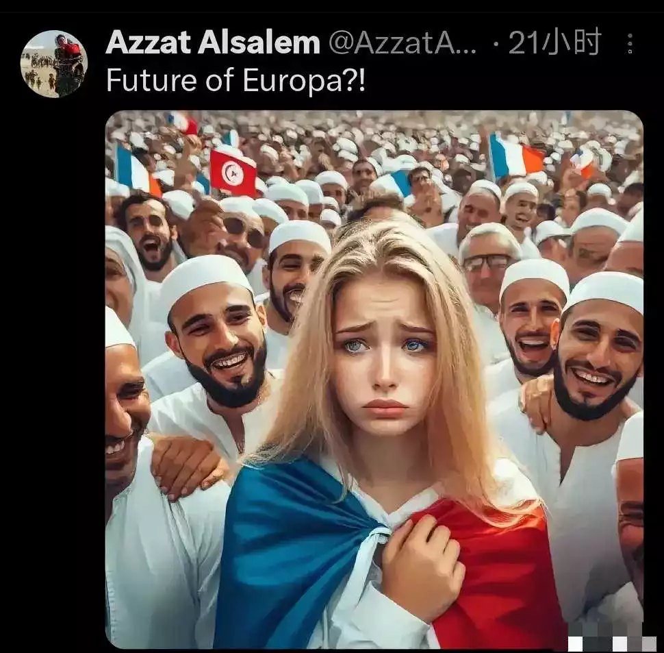 法国漫画《欧洲的未来？》说明法国人对穆斯林化存在严重的焦虑，法国目前已经很难逆转