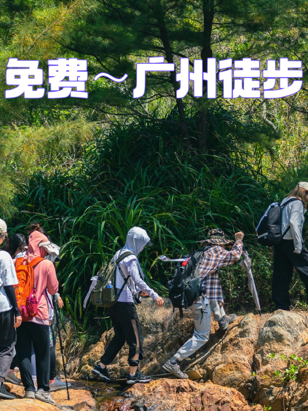 免费徒步约起❗️精选广州十个最美徒步圣地