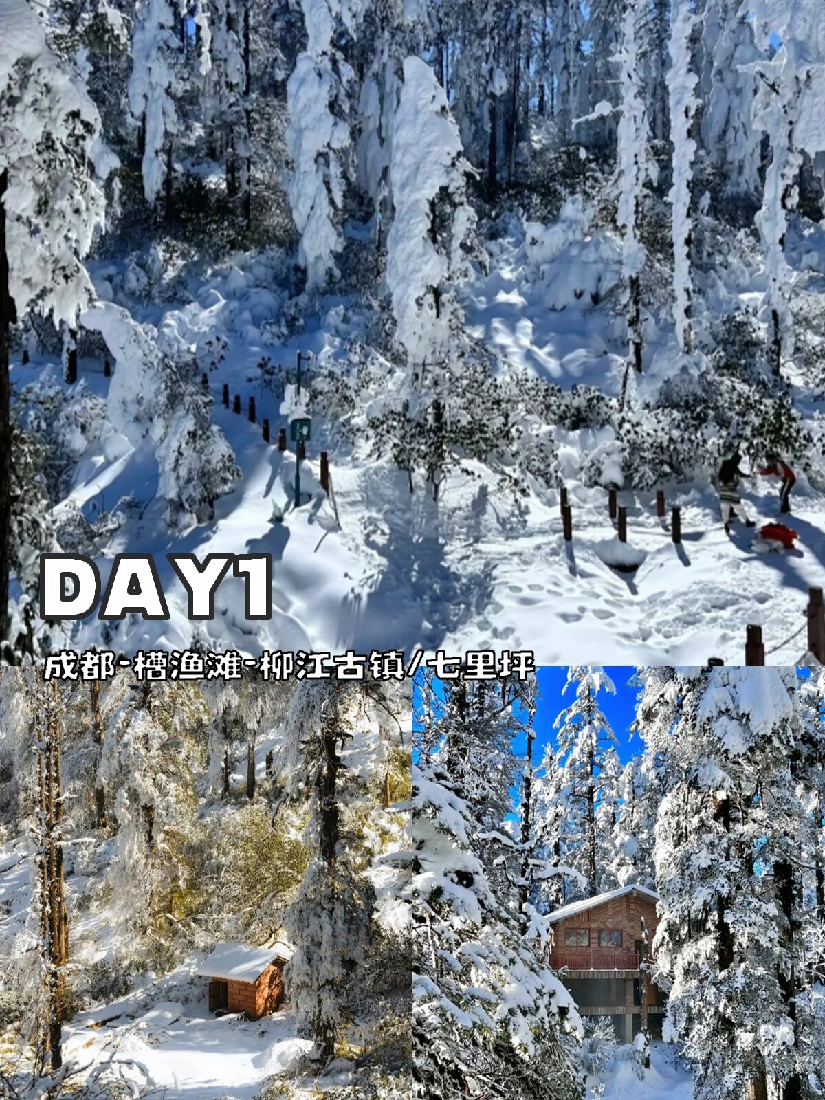 💥成都出发瓦屋山看雪