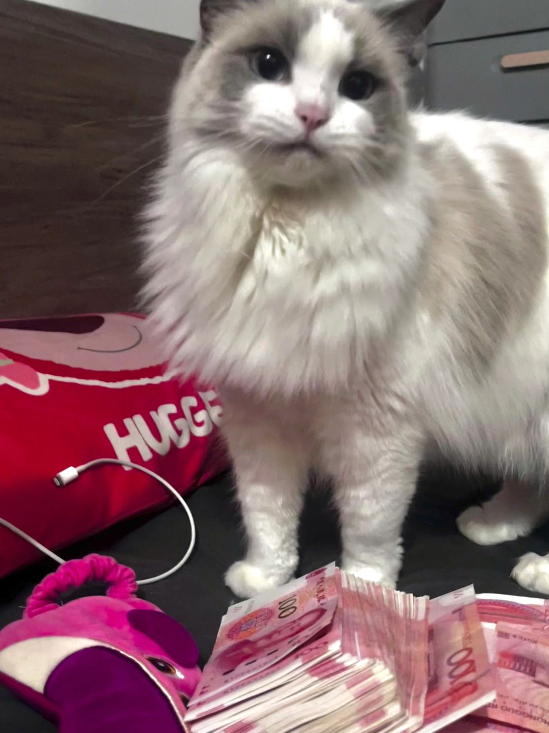 每天的快乐时刻
成为富婆 建设美丽中国#招财猫