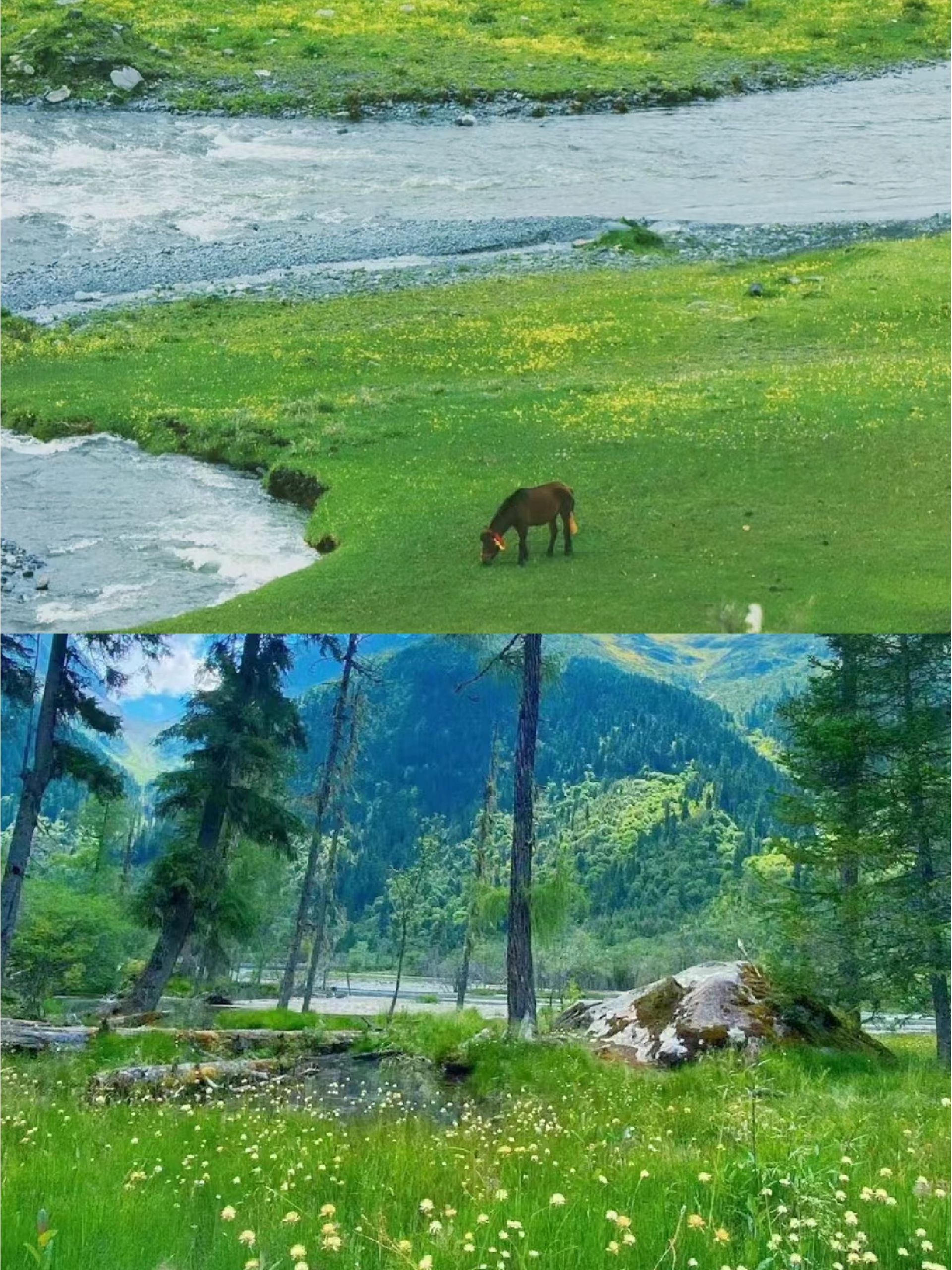 自驾川西就这么走↓甘孜阿坝一次玩遍