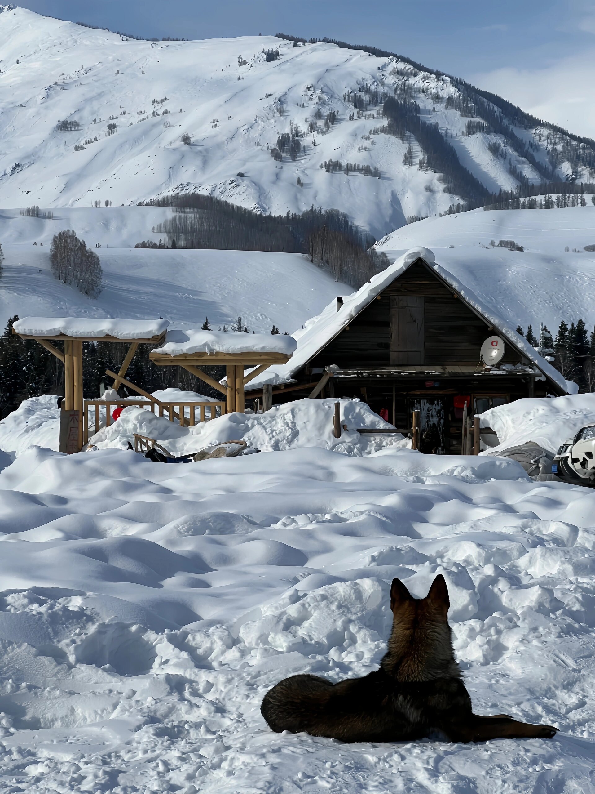 要去新疆旅游吗？我的答案是不建议