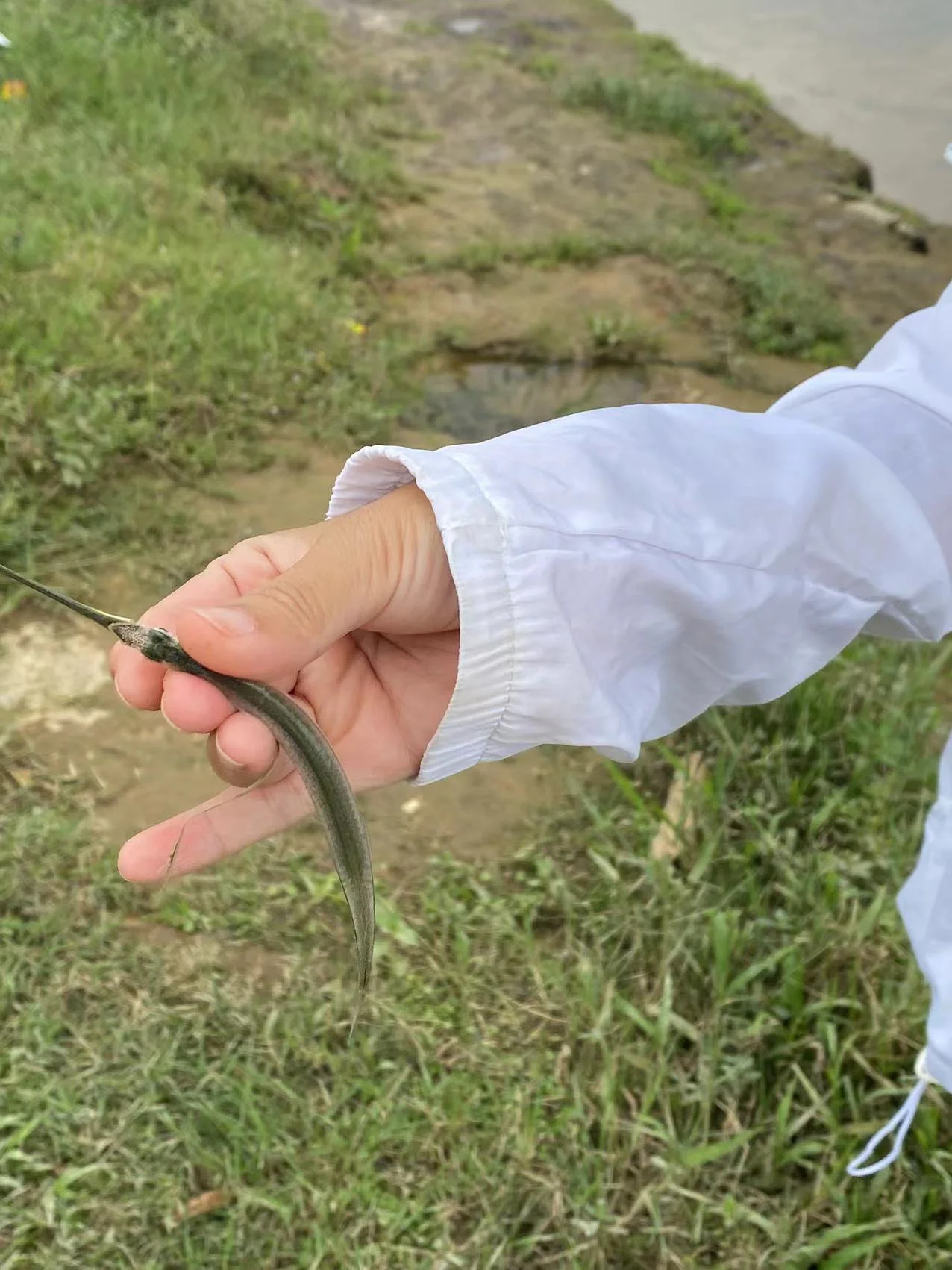 佛山去哪里钓鱼