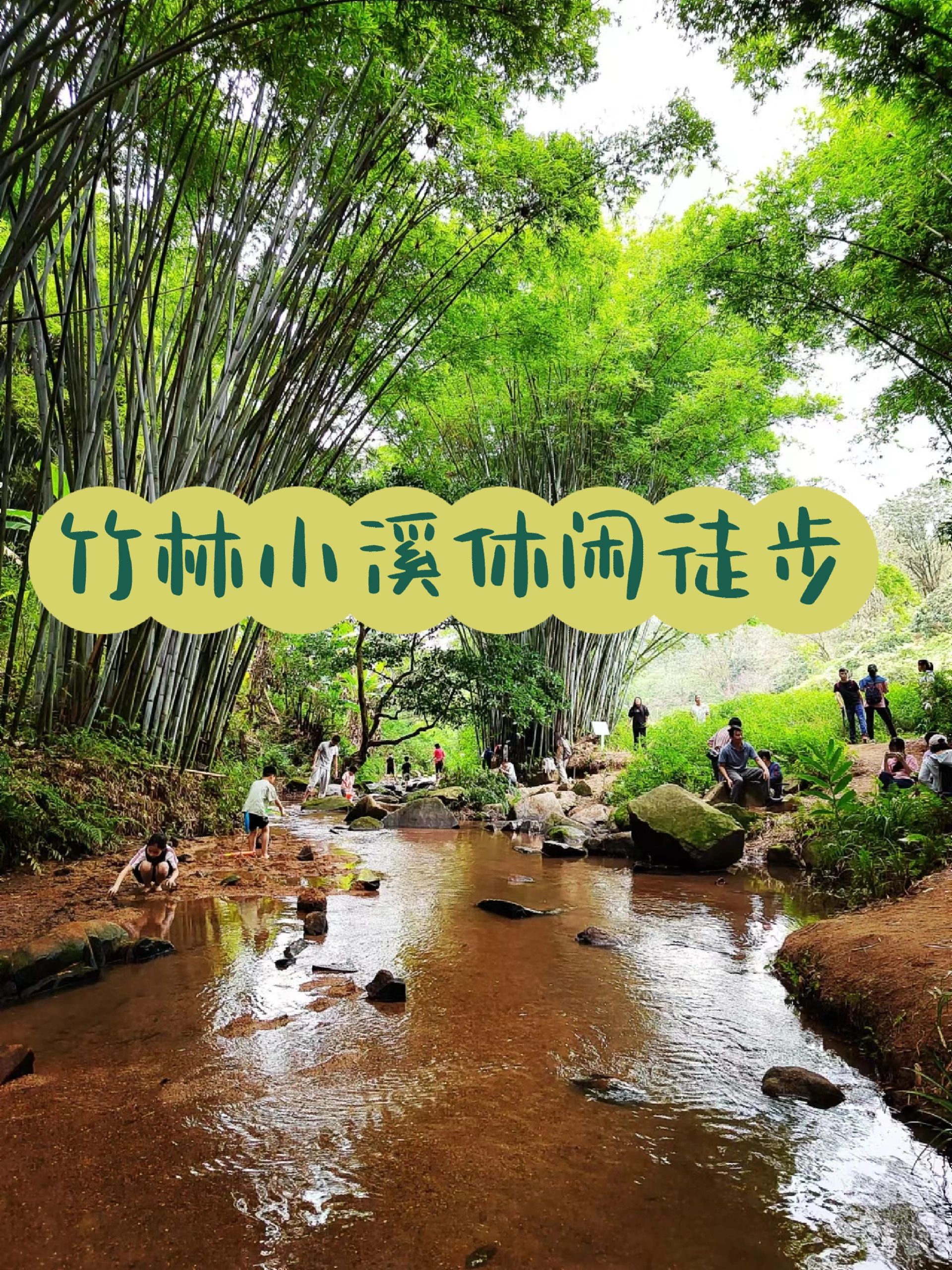 长岭健身步道，竹林小溪，休闲徒步