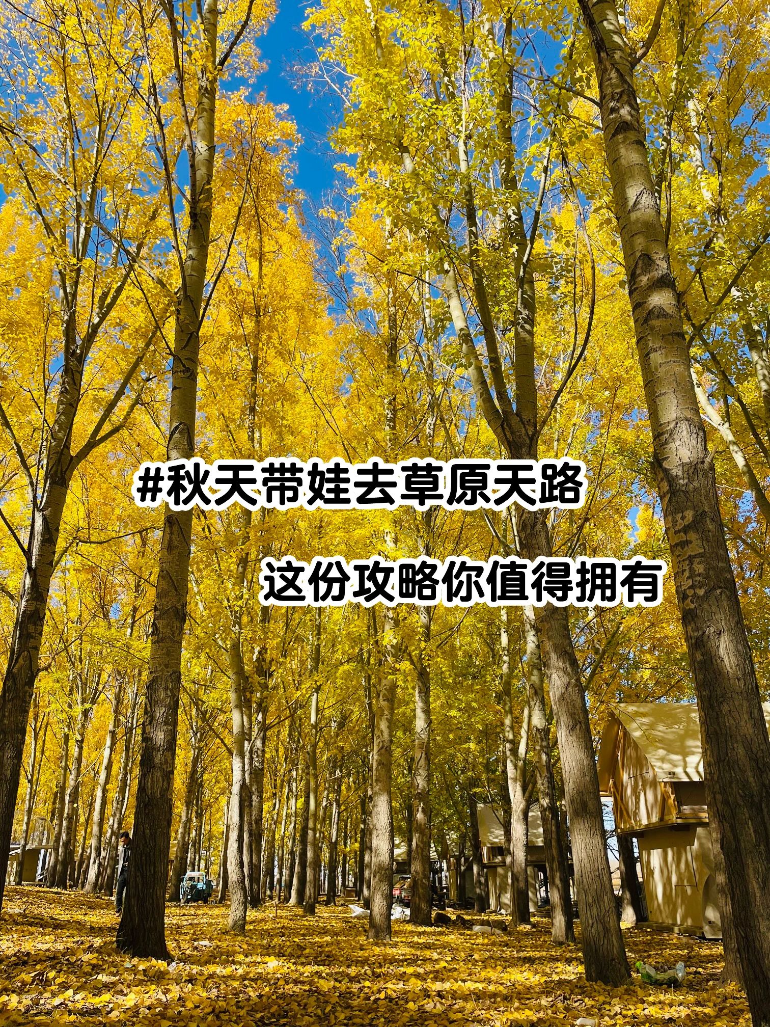 秋天带娃去草原天路，这份攻略你值得拥有
