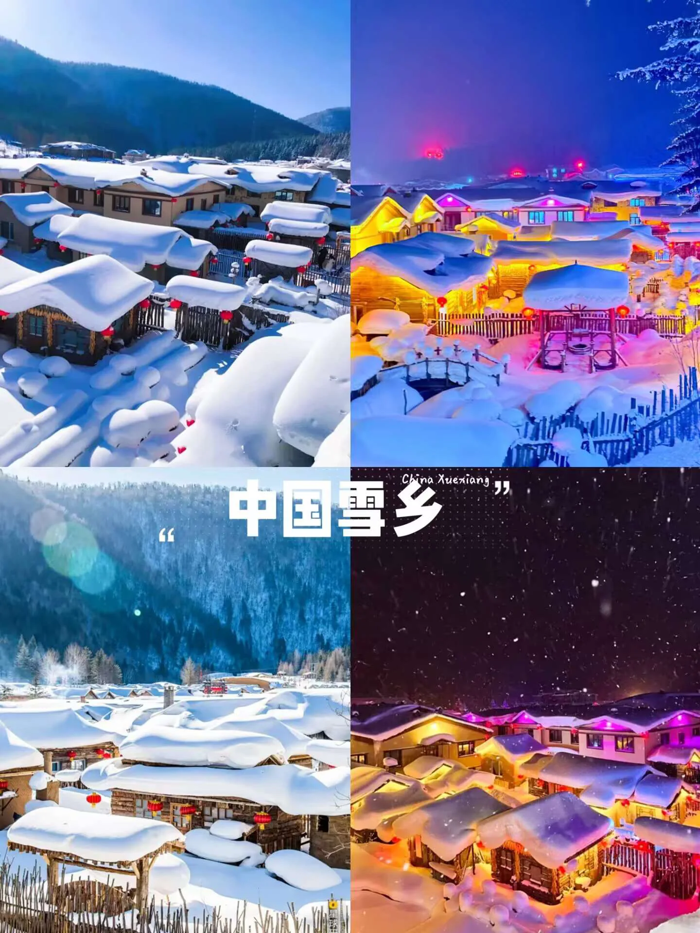 冬天到底去云南还是去哈尔滨啊❓❓