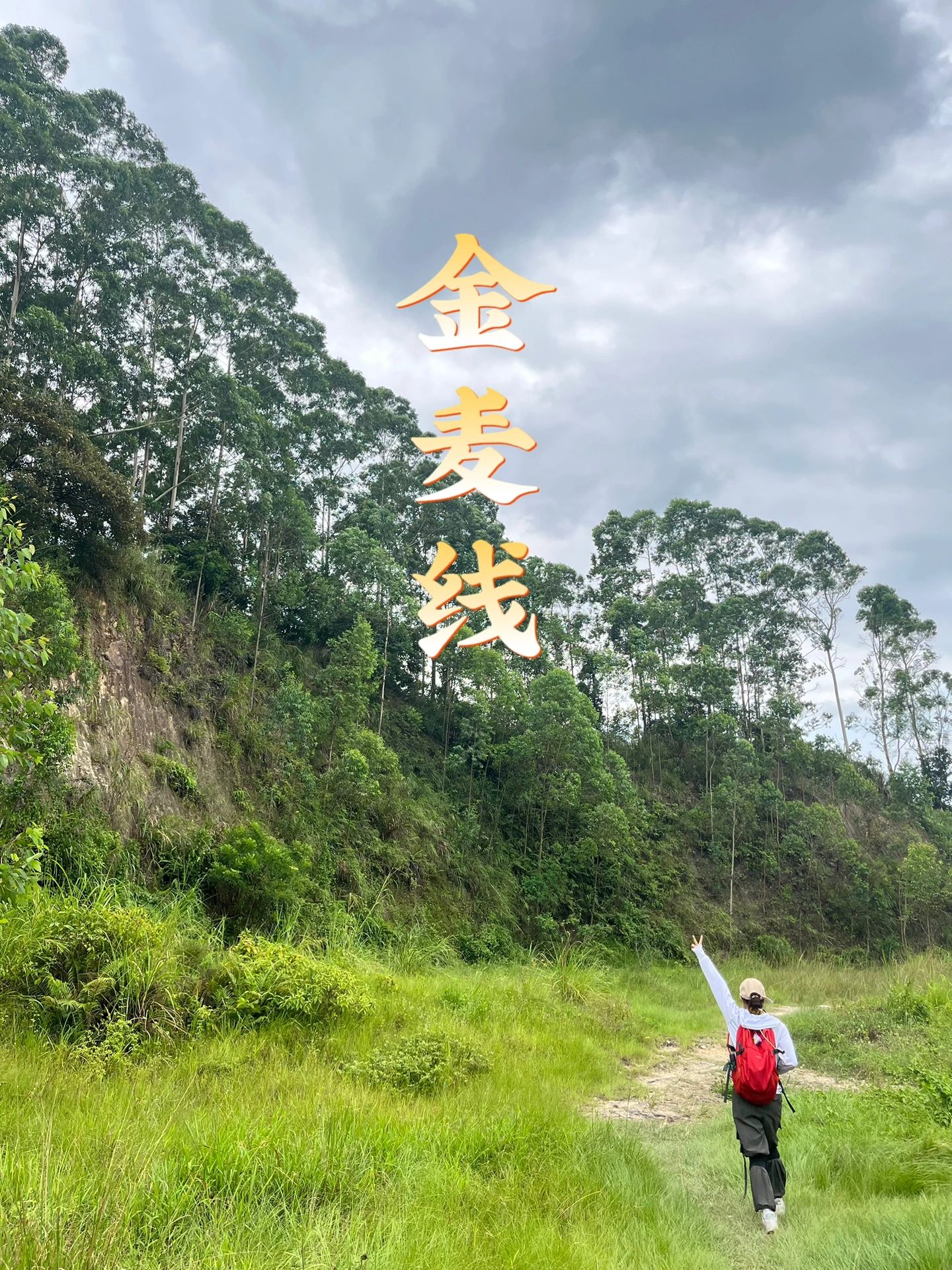 周末去哪玩 油麻山石牙顶 金麦线