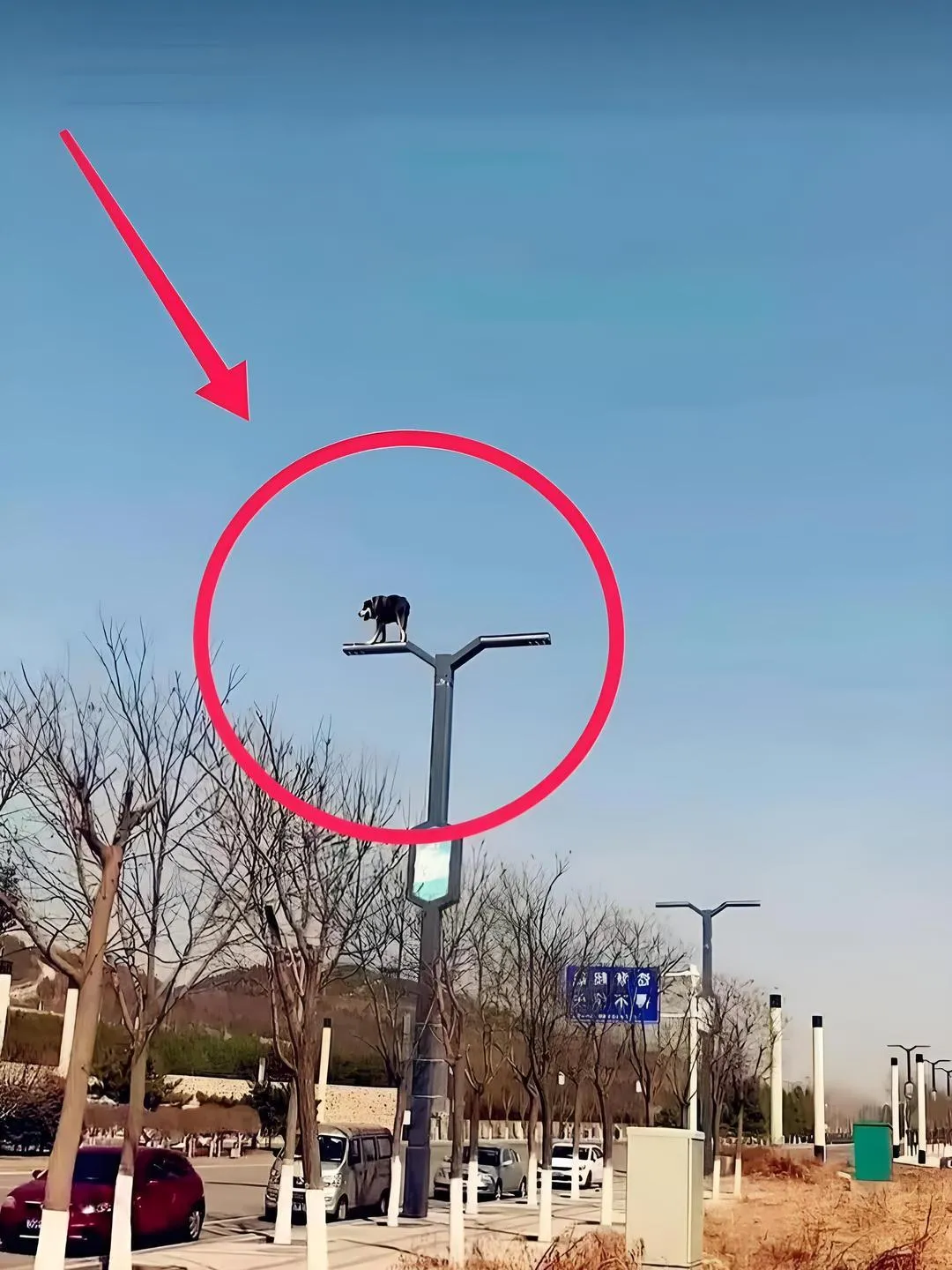 让人不可思议，怎么上去的这也太厉害了吧？
