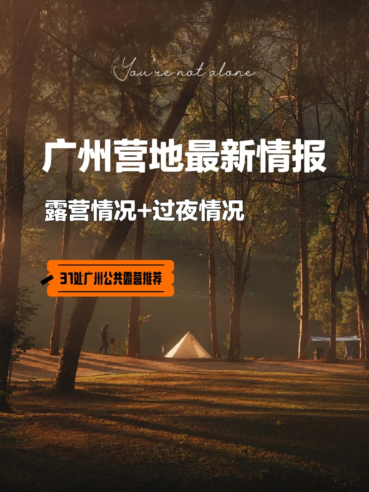 广州公共露营⛺️最新攻略来啦！