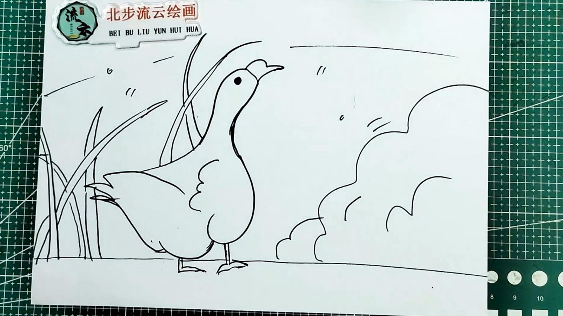 大白鹅简笔画，适合孩子画的儿童画