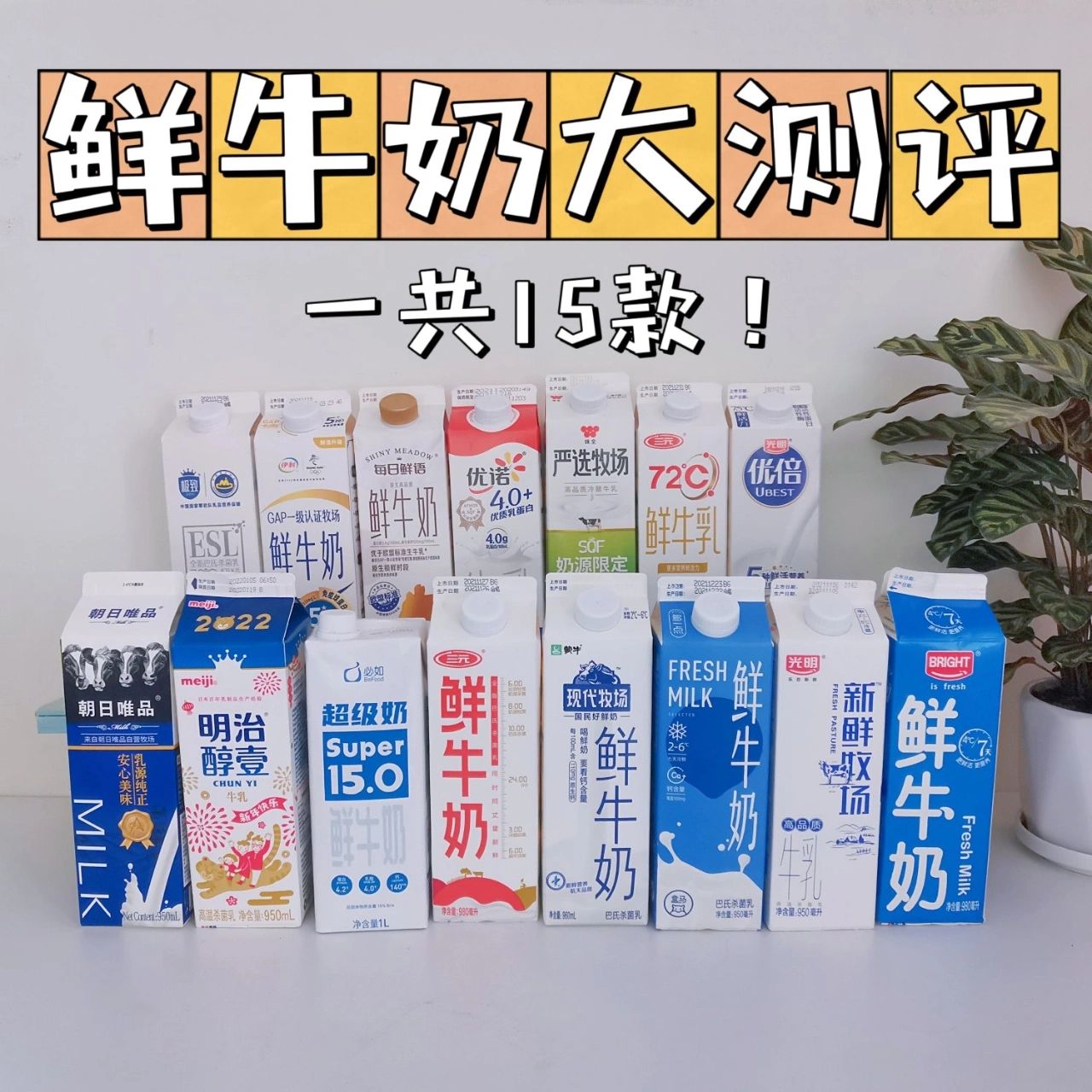 鲜牛奶测评#不建议买的纯牛奶牌子#
