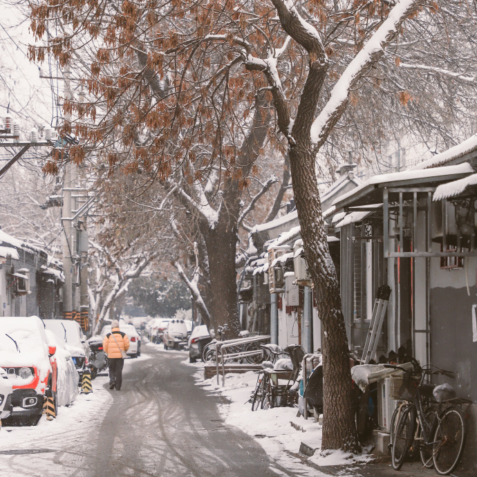 时闻折枝，我见雪落 ​