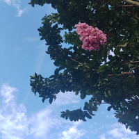 鸡毛蒜皮没小事