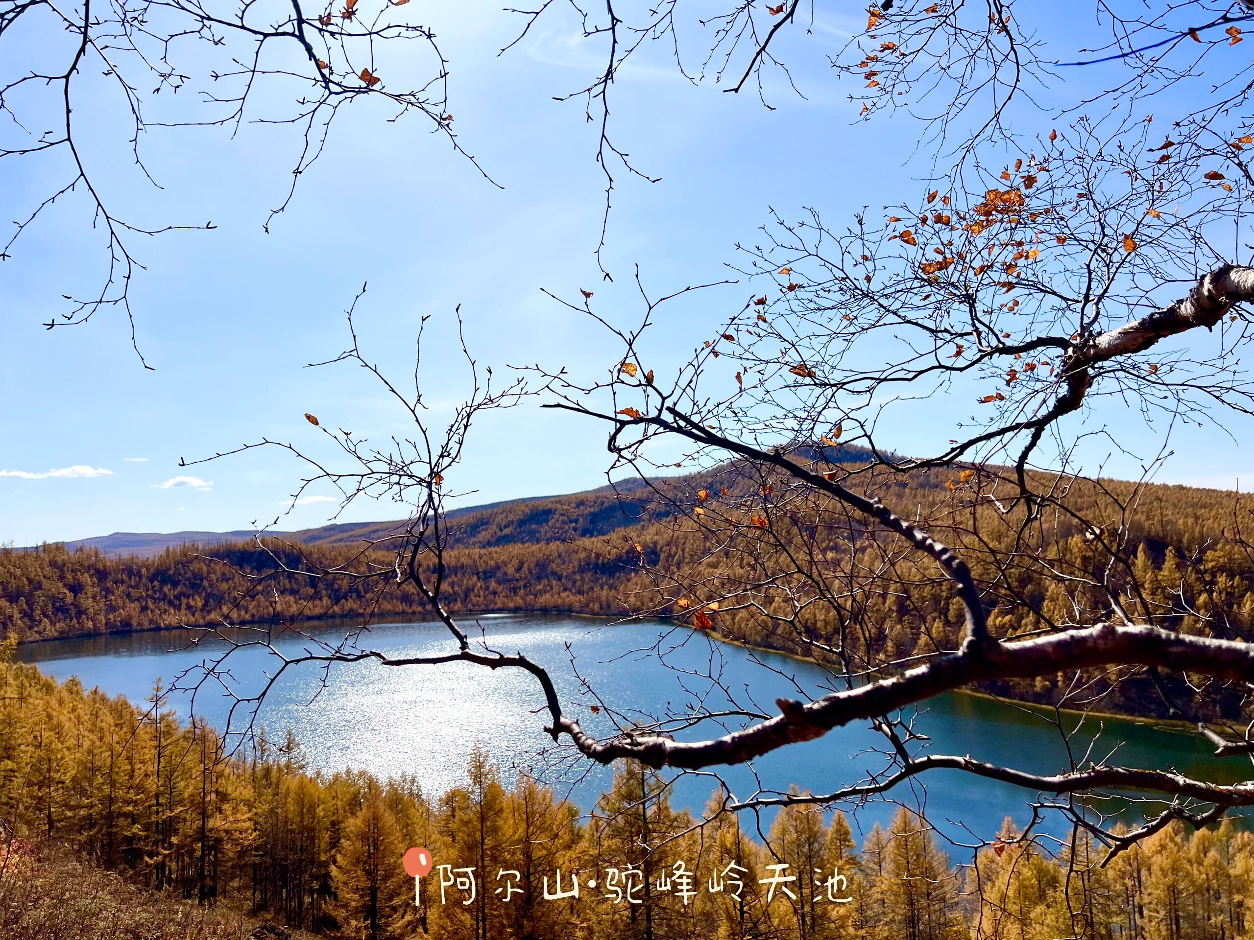 呼伦贝尔✈️阿尔山6天行程DAY