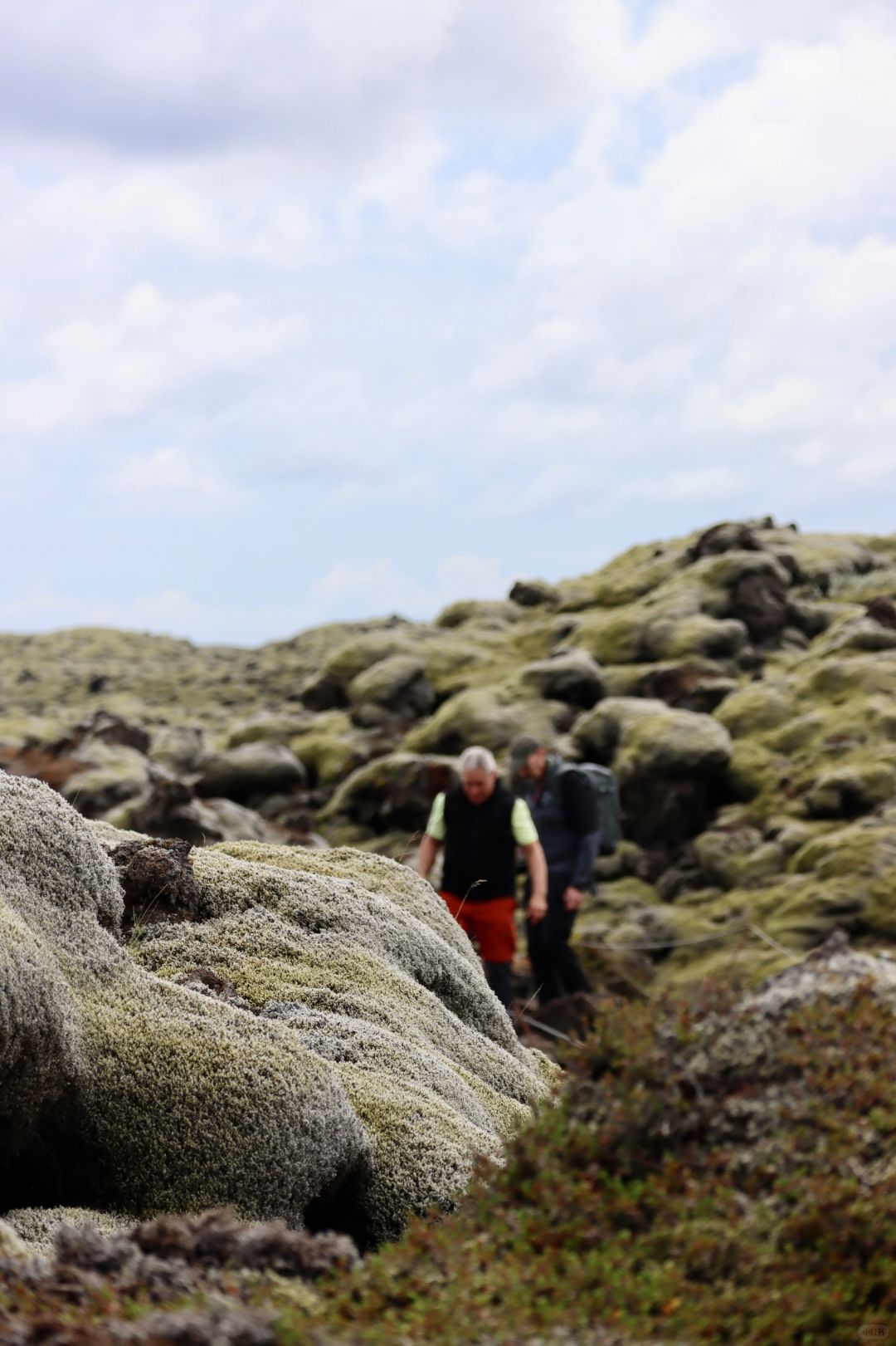 冰岛｜花儿与少年没去成的苔原，就像异世界
最近一期花儿与少年，海璐姐带团那天因为