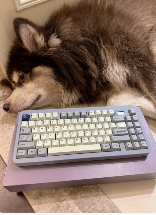 孩子闹脾气非要买个七八千的键盘，我觉得太贵了不给他买，他就闹脾气甚至绝食威胁，最