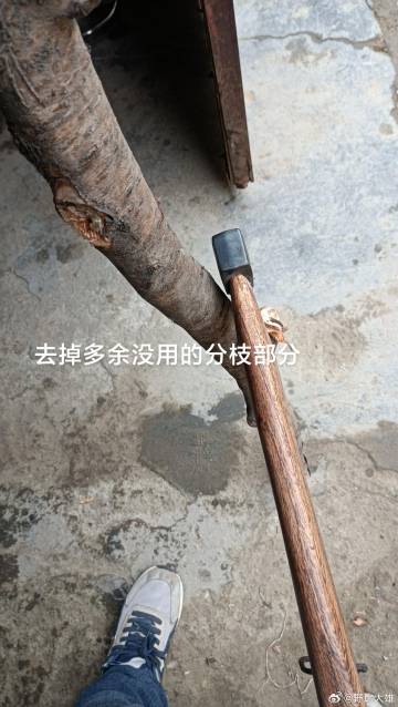 笑亖，给二大爷做的龙头拐杖哈哈哈哈哈哈哈哈哈 ​