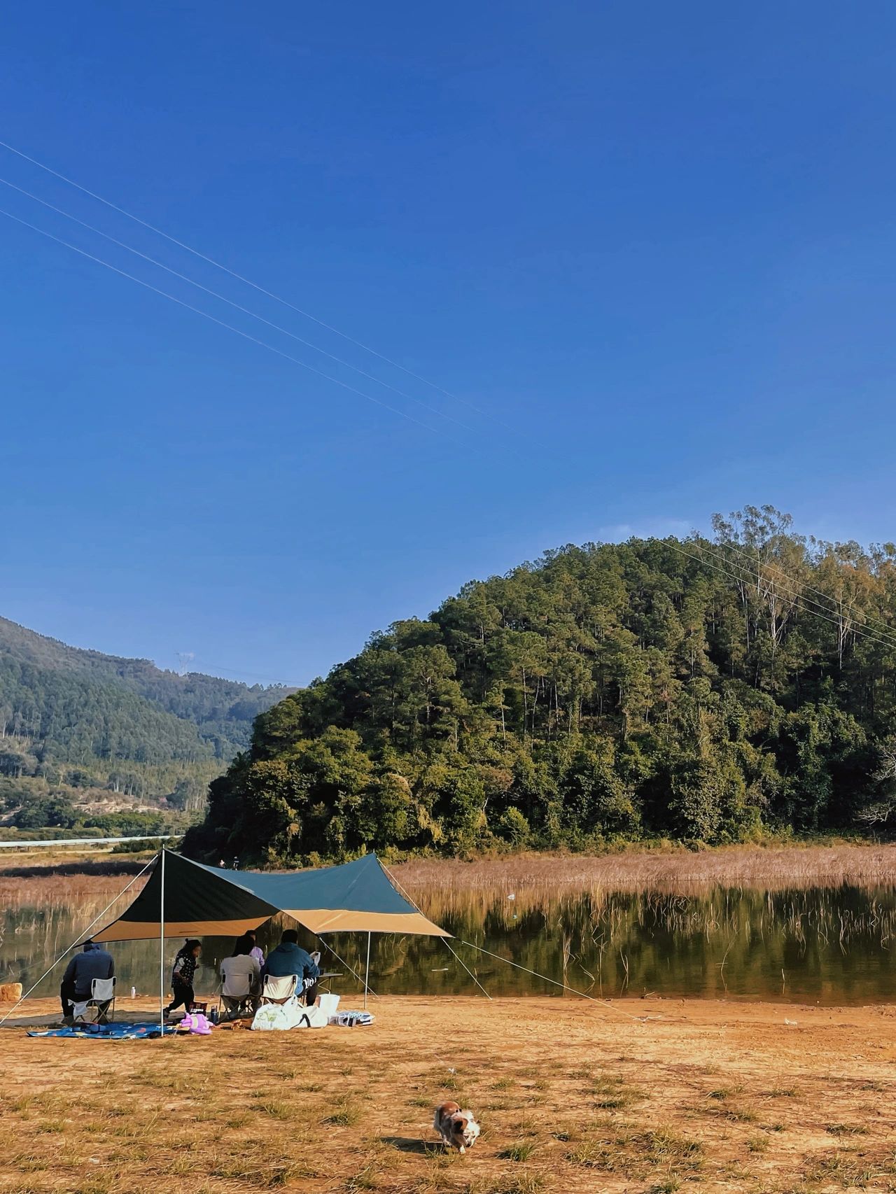 广州周边露营｜不踩雷广州假日露营⛺️