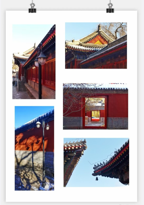 张颂文雪后北京万寿寺赏雪