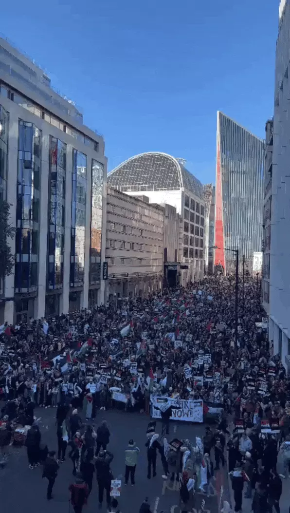 今在伦敦30万人游行支持巴勒斯坦，甚至支持哈马斯，有些人高喊把以色列灭掉和反犹口