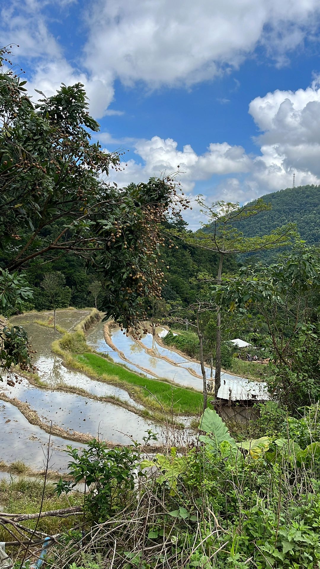 夜爬茂名三官山超详细攻略～