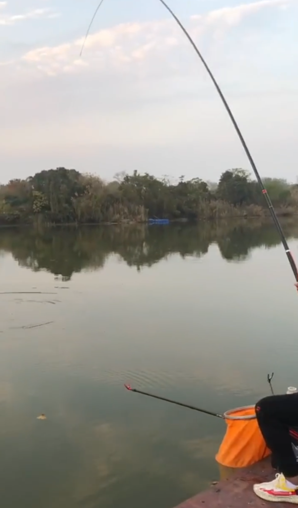 最适合新手垂钓的钓点，就在兴仔钓鱼场