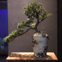 鱼小小小