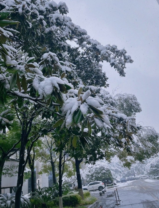 长沙下雪啦！千呼万唤的雪 ​