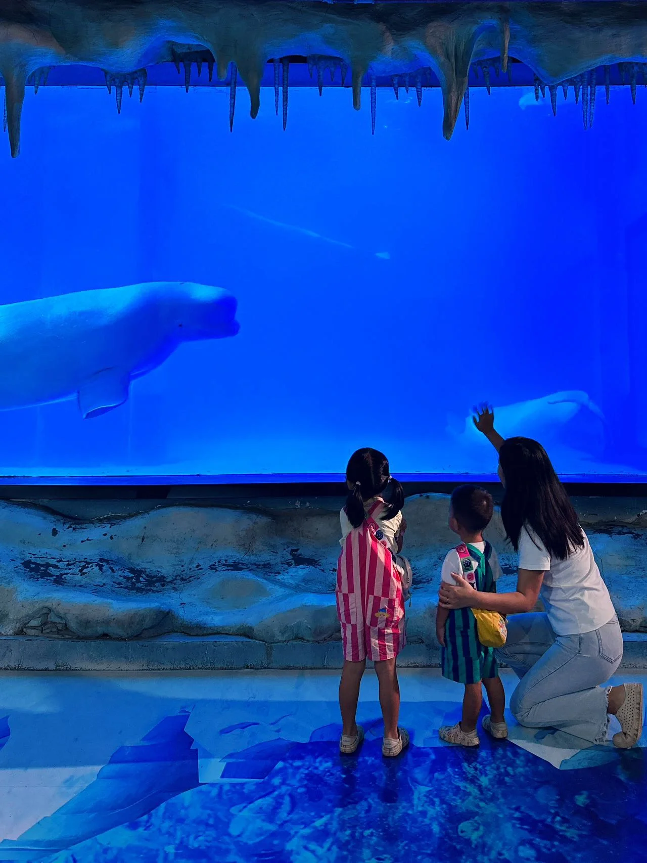 国庆亲子游，带娃游极地海洋世界好玩不费妈