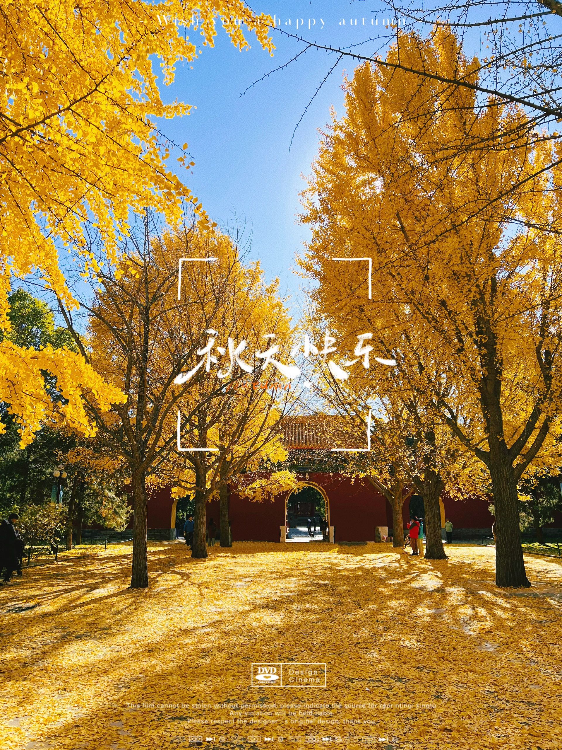 北京的秋天，这10个地方，将美成一幅童话