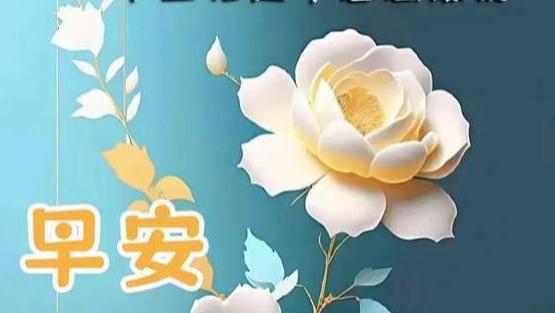 我对你最好的爱恋，就是不打扰也不放弃