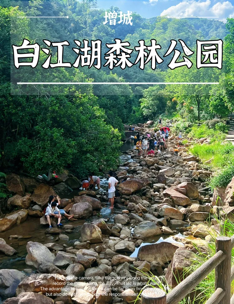从广州出发 1元解锁玩水爬山吸收负离子