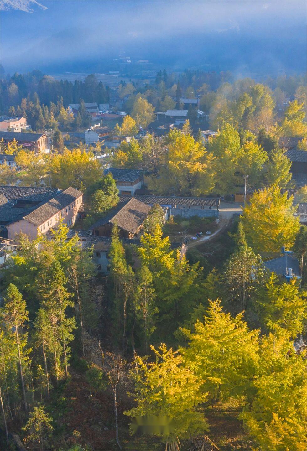 云南边陲秋日盛宴，人少小众私享美景🍁