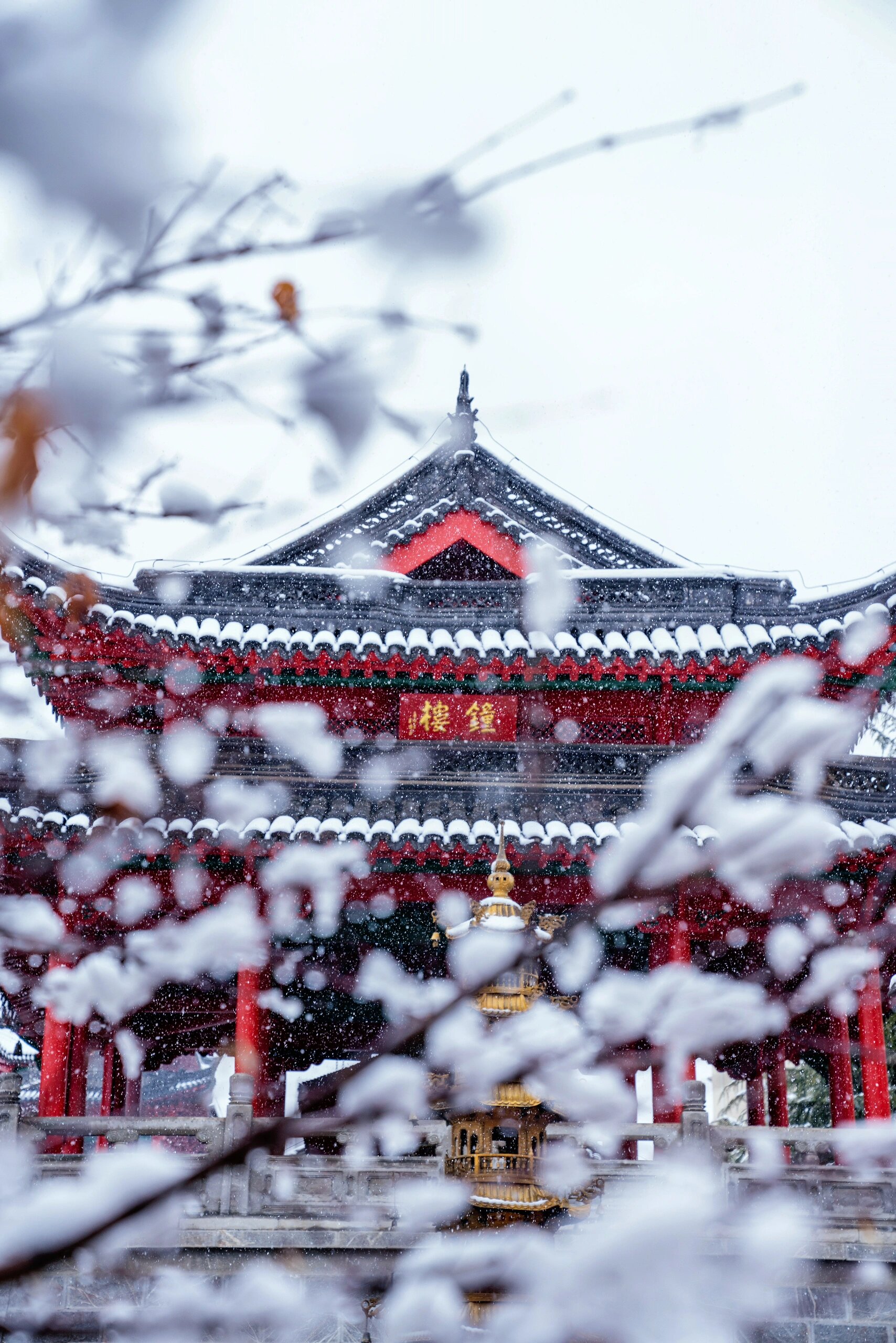 在南京，一定要去寺中赏雪