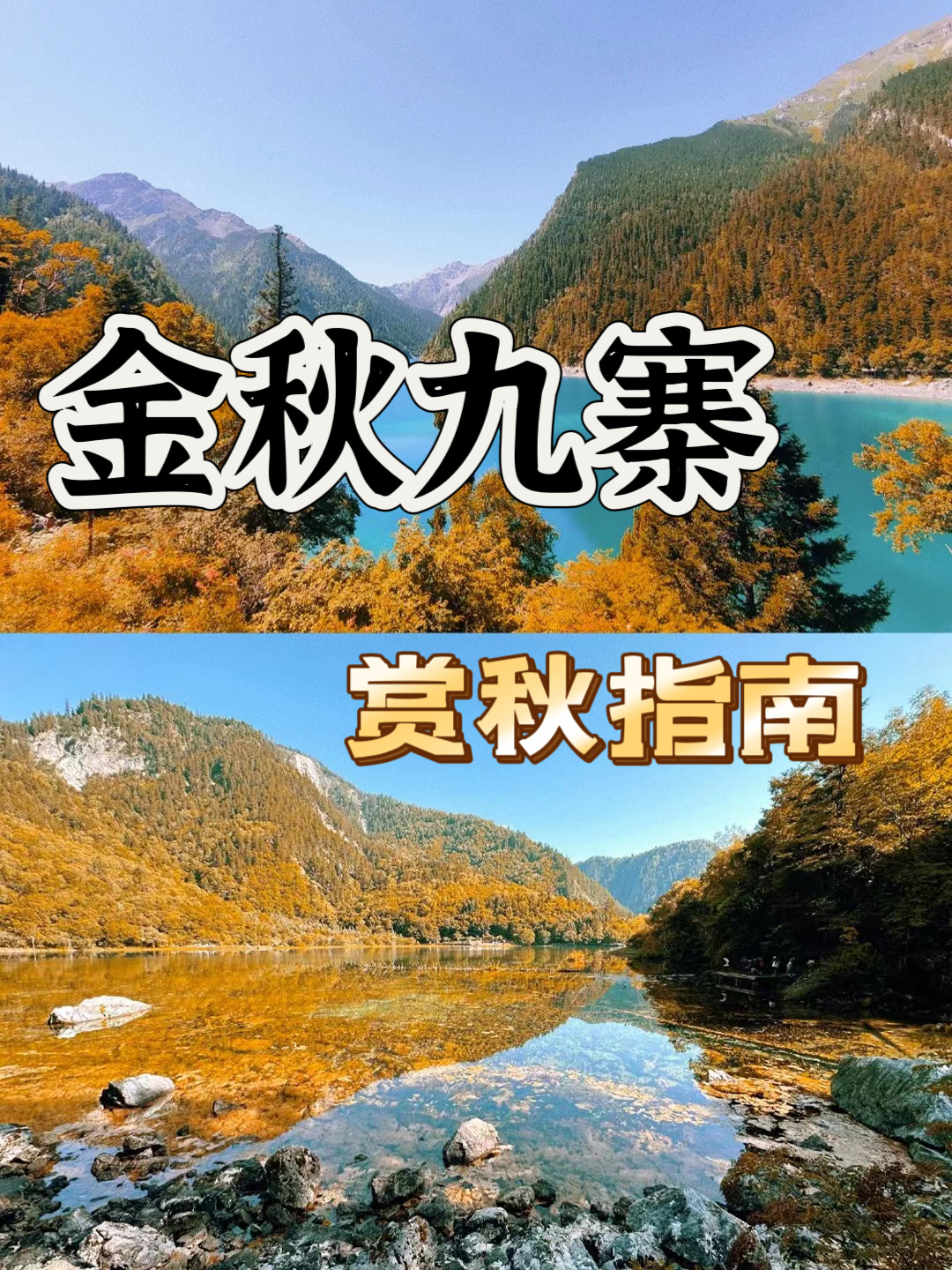 重庆出发去奔赴秋天的九寨沟