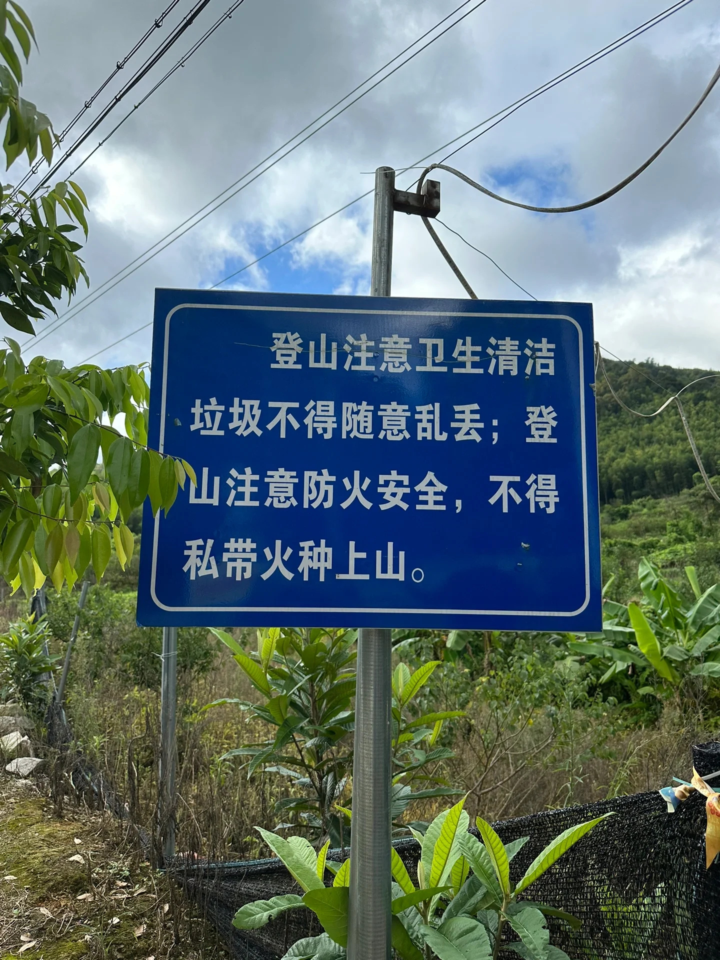 听说是广州最美徒步路线？