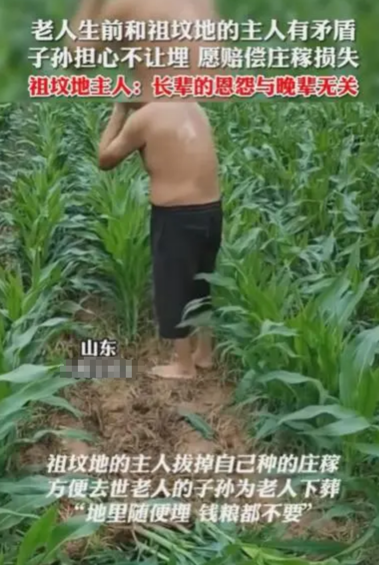 这就叫格局！山东，一老人死后要入土为安，然而祖坟却在“仇家”的田地里。儿孙担心对