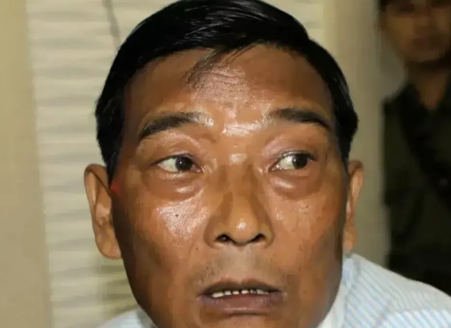 白所成带着数百民兵试图突破杨龙寨，他们的目标是想效仿当年彭家声的策略，进入山里进