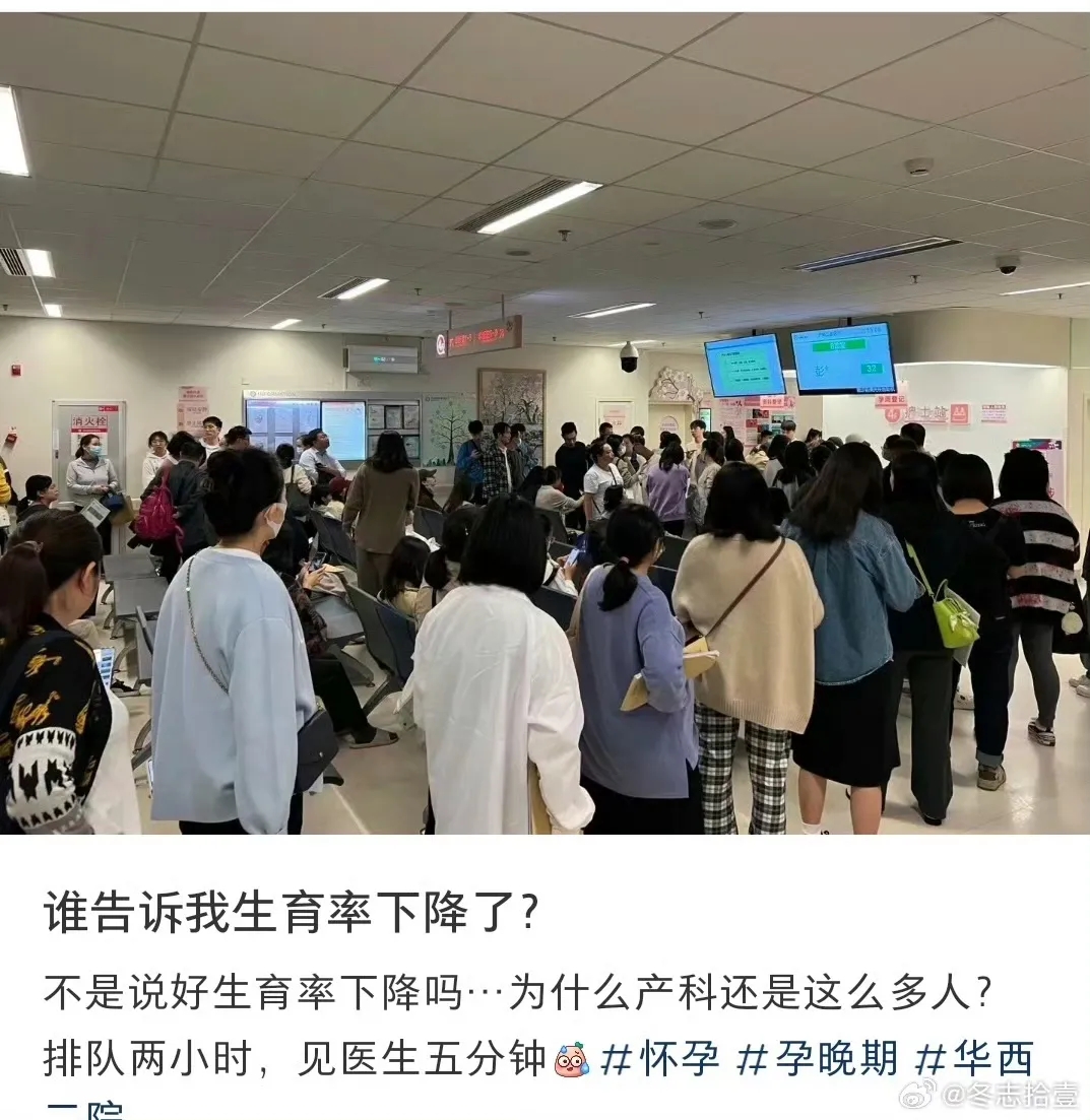 谁告诉我生育率下降了？