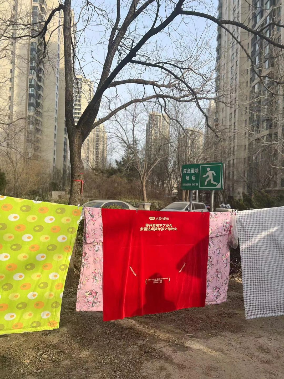 小红书你怎么敢跟晒棉被大妈抢位置的啊哈哈
太好笑了，在小区草坪上看到小红书大家的