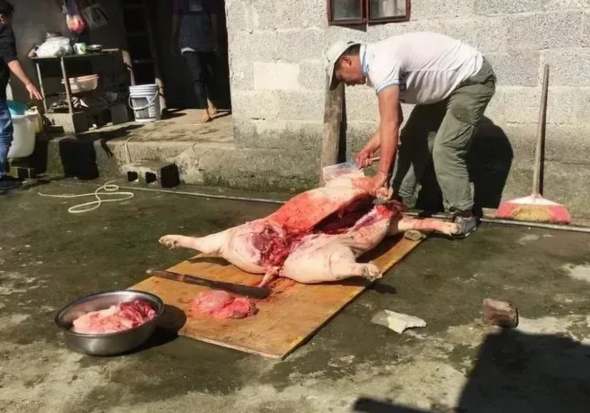 “你们凭什么罚我的款！”湖南平江，一农民大哥在家里养了两只白净的大肥猪，屠宰后拿
