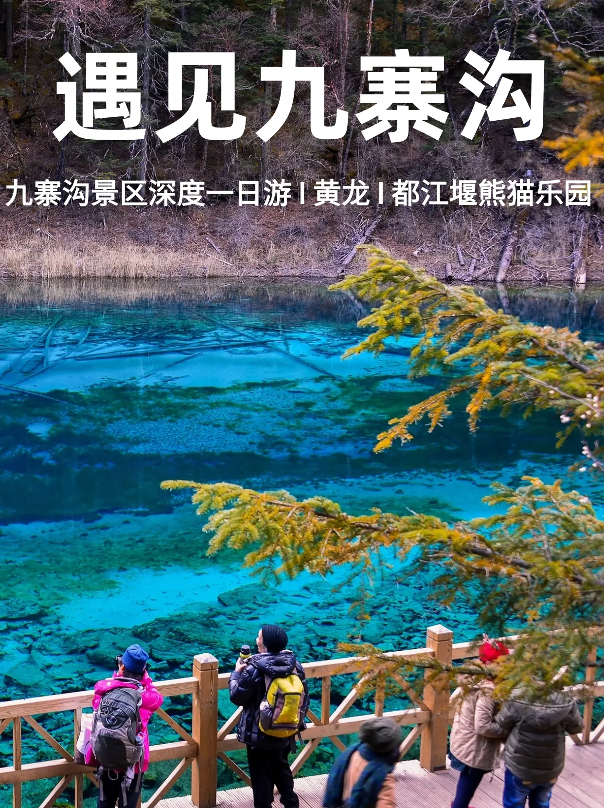 💐九寨沟夜太美啦，漫游四川6天5晚 