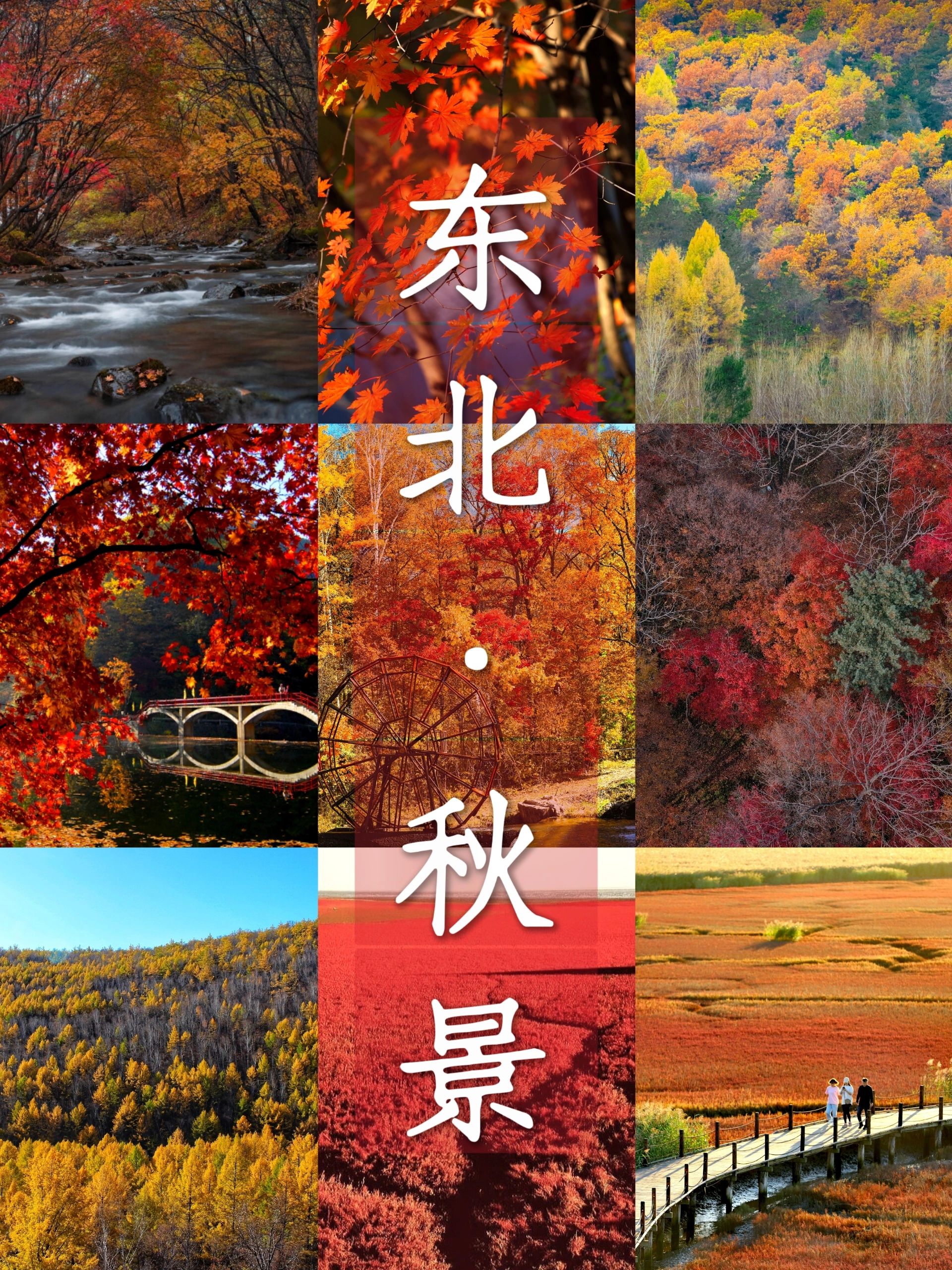 去东北看秋景，更柔软、更浪漫、更饱满