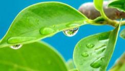 有句话说：“不要到处宣扬你的内心，这世上不止你一个人有故事;也不要到处宣泄你的痛苦，没人会感同身受。