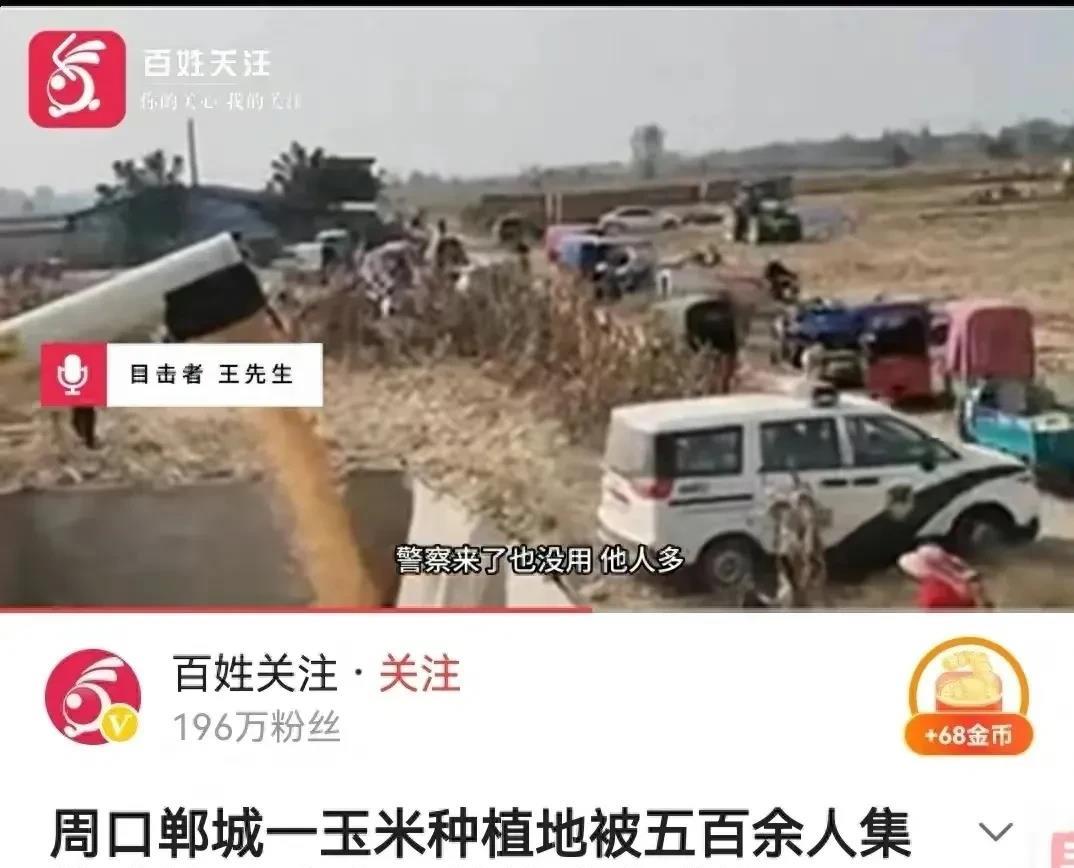丢人丢大了！500多名村民集体哄抢玉米，特警来了都没用，影视剧中发生的事，又在现