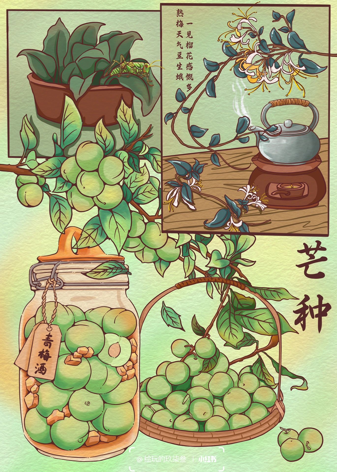 二十四节气之芒种#芒种三候#