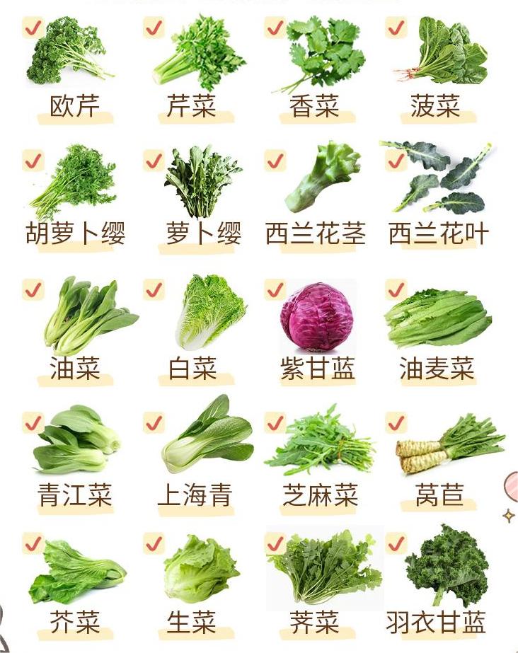 兔兔详细食谱#兔子吃什么#